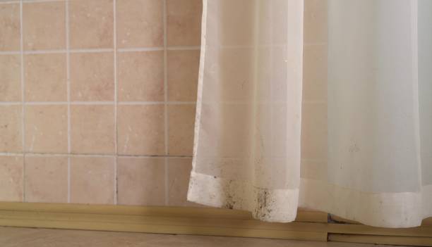 Best Indoor Air Quality Assessment  in Avoca, IA