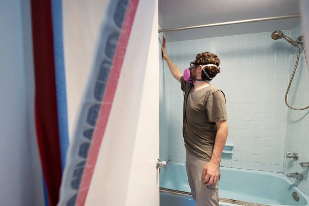 Best Mold Remediation for Vacation Homes  in Avoca, IA