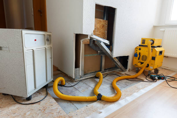 Best Airborne Mold Testing  in Avoca, IA