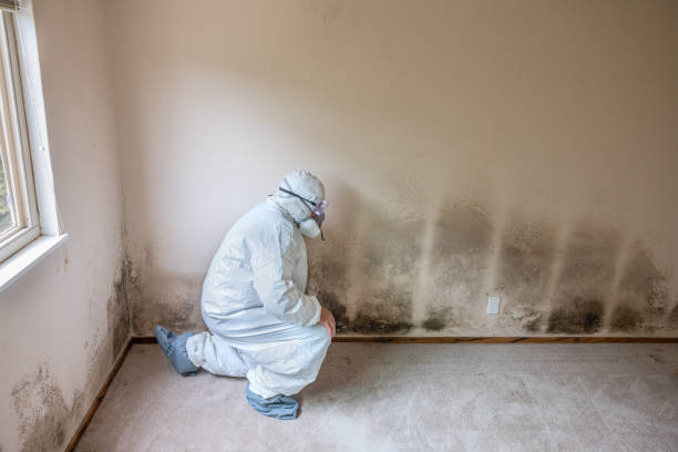 Best Biohazard Mold Removal  in Avoca, IA